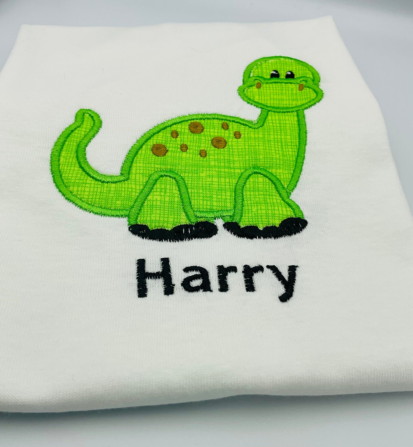 Dinosaur Embroidered T Shirt